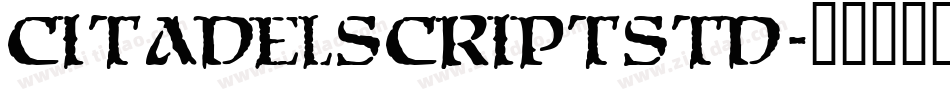 CitadelScriptStd字体转换