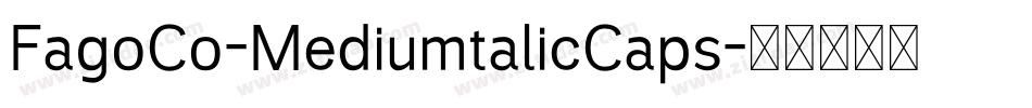 FagoCo-MediumtalicCaps字体转换