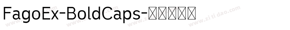 FagoEx-BoldCaps字体转换