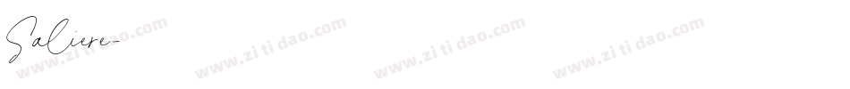 Saliere字体转换