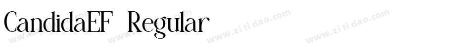 CandidaEF-Regular字体转换