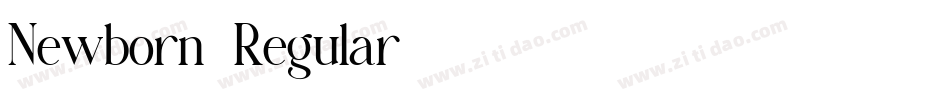 Newborn-Regular字体转换