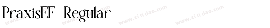 PraxisEF-Regular字体转换