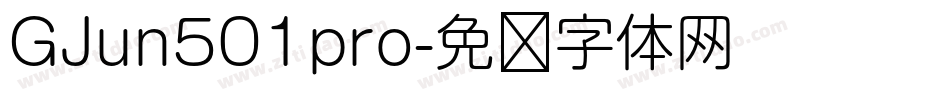 GJun501pro字体转换