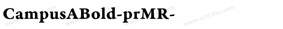 CampusABold-prMR字体转换