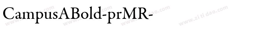 CampusABold-prMR字体转换