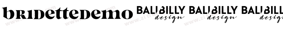 BridetteDemo字体转换