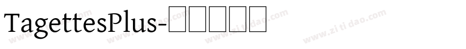 TagettesPlus字体转换