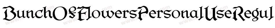 BunchOfFlowersPersonalUseRegular-nOvM字体转换