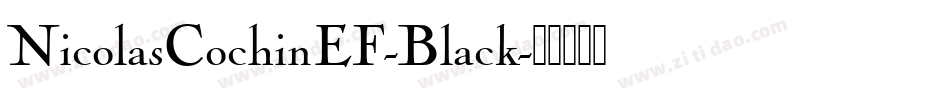 NicolasCochinEF-Black字体转换
