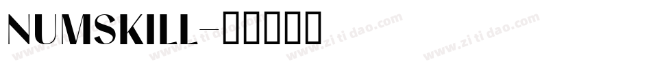NUMSKILL字体转换