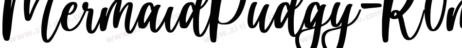 MermaidPudgy-R0mE字体转换