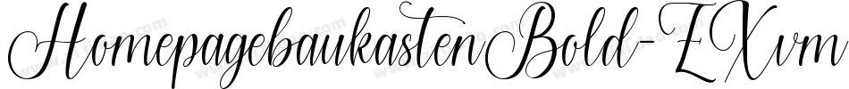 HomepagebaukastenBold-ZXvm字体转换