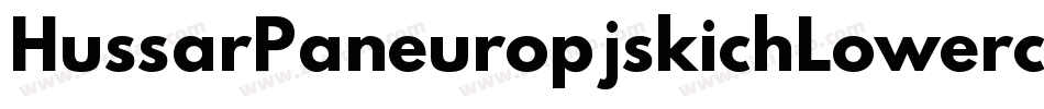 HussarPaneuropjskichLowercase-7vYA字体转换