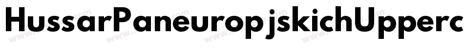 HussarPaneuropjskichUppercase-dV3X字体转换