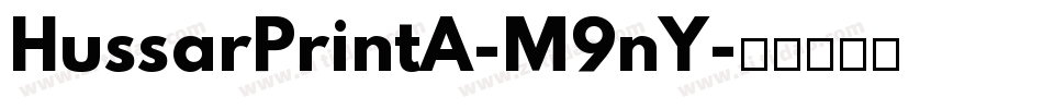 HussarPrintA-M9nY字体转换