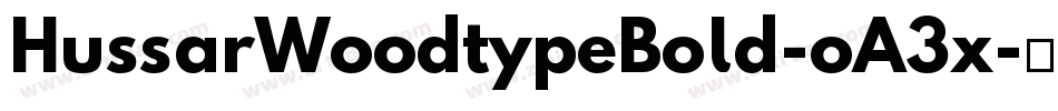 HussarWoodtypeBold-oA3x字体转换