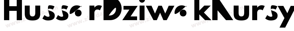 HussarDziwakKursywa-zeM0字体转换