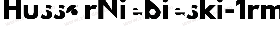 HussarNiebieski-1rm4字体转换