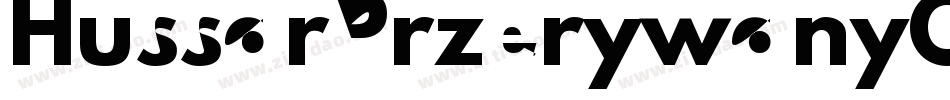 HussarPrzerywanyOblique-gXA1字体转换
