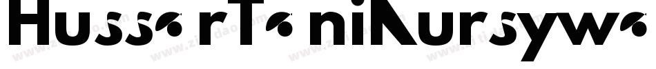 HussarTaniKursywa-D1ED字体转换