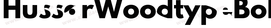 HussarWoodtypeBold-oA3x字体转换