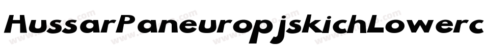 HussarPaneuropjskichLowercase-7vYA字体转换