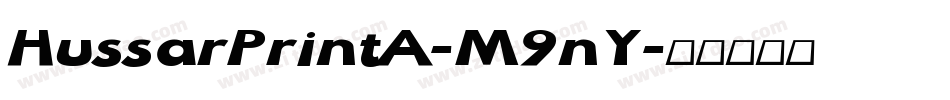 HussarPrintA-M9nY字体转换