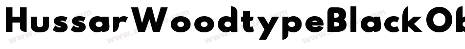 HussarWoodtypeBlackOblique-gXmE字体转换