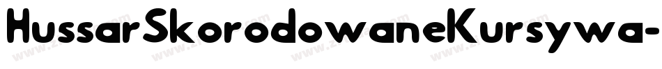 HussarSkorodowaneKursywa-Z8x8字体转换