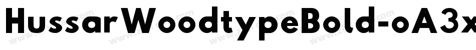 HussarWoodtypeBold-oA3x字体转换