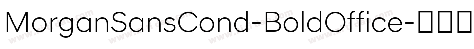 MorganSansCond-BoldOffice字体转换