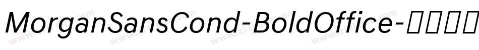 MorganSansCond-BoldOffice字体转换