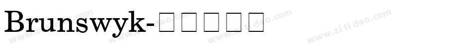 Brunswyk字体转换