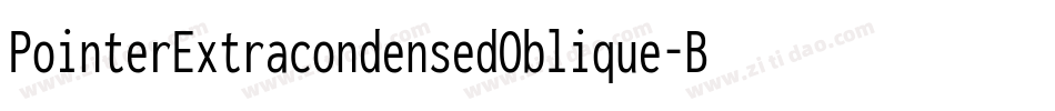 PointerExtracondensedOblique-Brgw字体转换