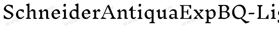 SchneiderAntiquaExpBQ-Light字体转换