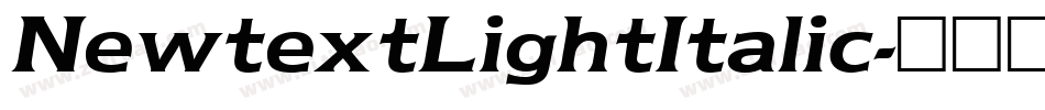 NewtextLightItalic字体转换