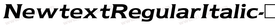 NewtextRegularItalic字体转换