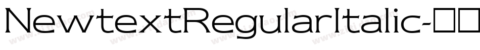 NewtextRegularItalic字体转换