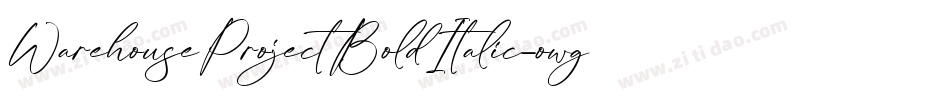 WarehouseProjectBoldItalic-owgrz字体转换