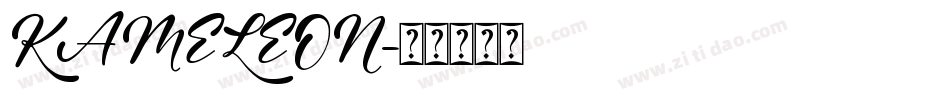 KAMELEON字体转换
