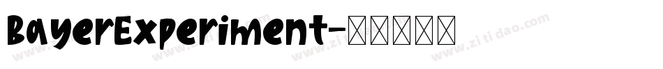 BayerExperiment字体转换