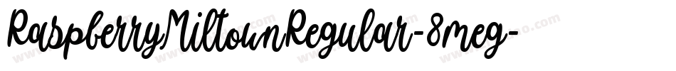 RaspberryMiltownRegular-8meg字体转换