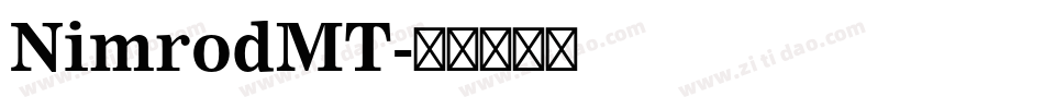 NimrodMT字体转换