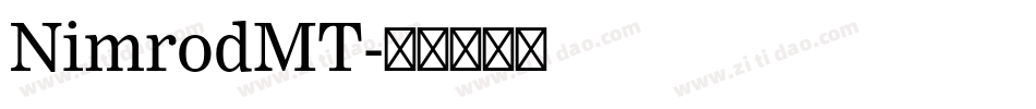 NimrodMT字体转换