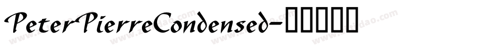 PeterPierreCondensed字体转换