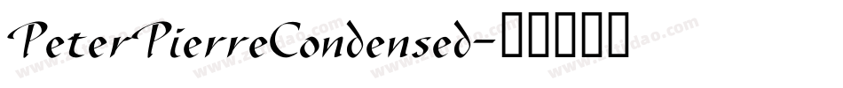 PeterPierreCondensed字体转换