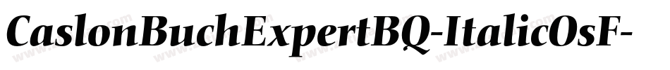 CaslonBuchExpertBQ-ItalicOsF字体转换