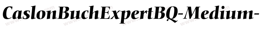 CaslonBuchExpertBQ-Medium字体转换
