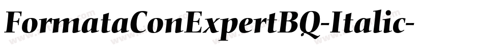 FormataConExpertBQ-Italic字体转换